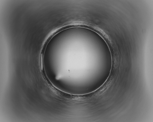 X0000116851175200912221113