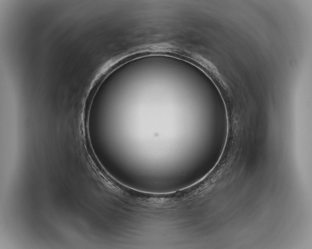 X0000116851176200912221113