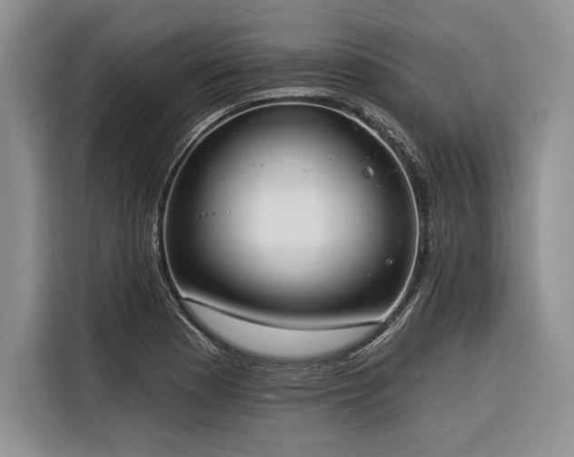 X0000116851177200912221113