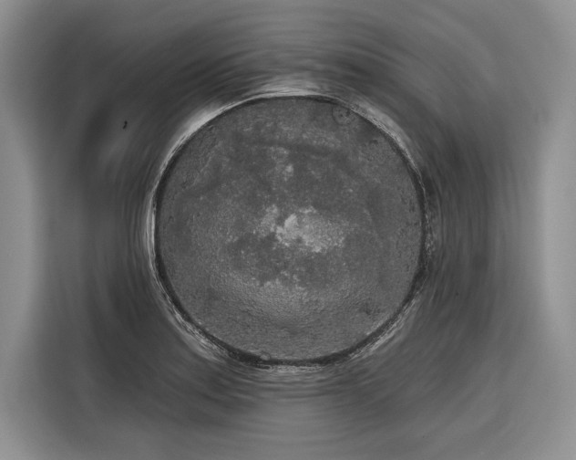 X0000116851179200912221113