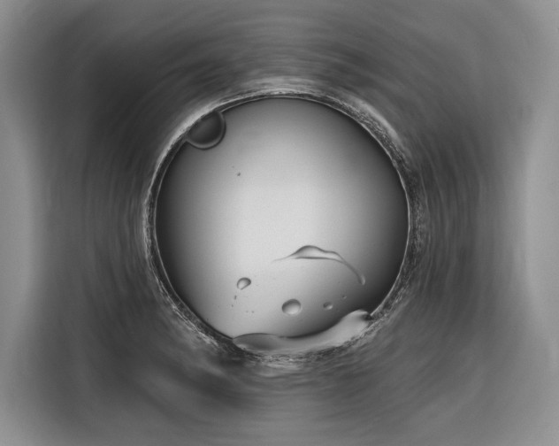 X0000116851182200912221113