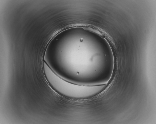 X0000116851185200912221113