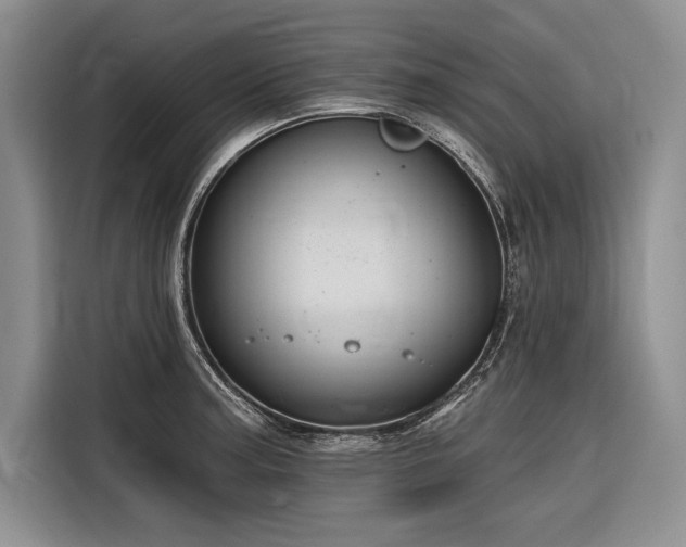 X0000116851187200912221113