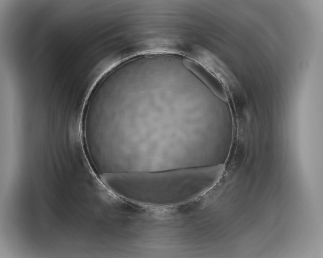 X0000116851189200912221113