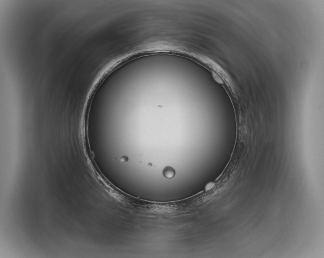 X0000116851191200912221113