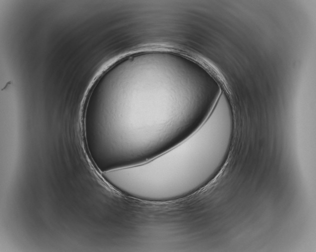 X0000116851192200912221113