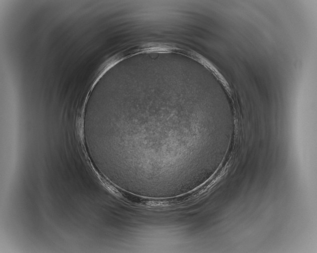X0000116851194200912221113