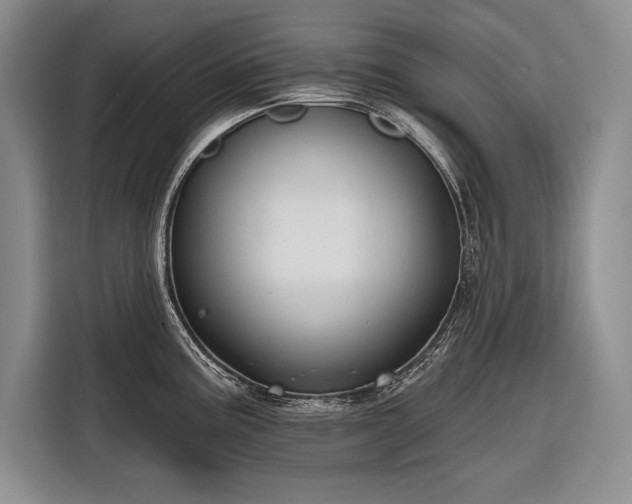 X0000116851195200912221112