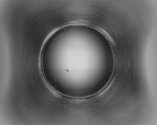 X0000116851196200912221112