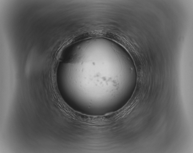X0000116851201200912221112