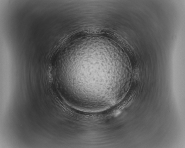 X0000116851202200912221112