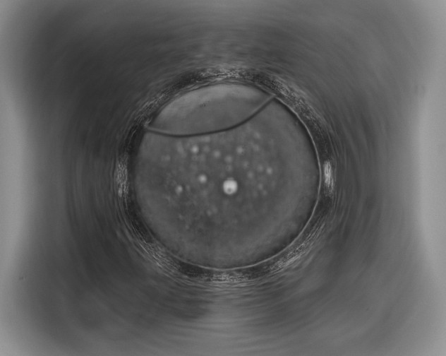 X0000116851203200912221112