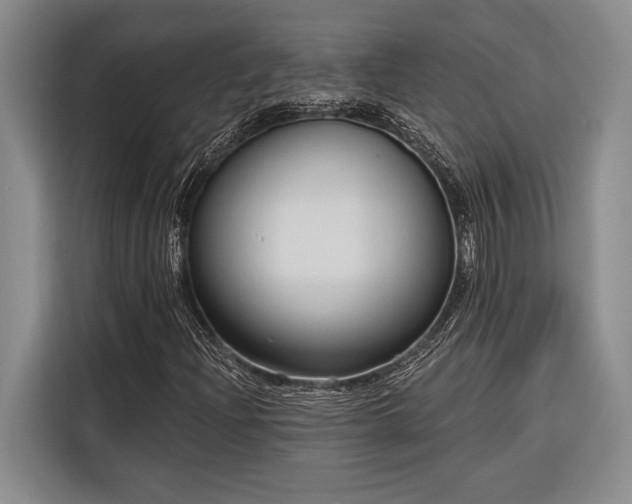 X0000116851204200912221112