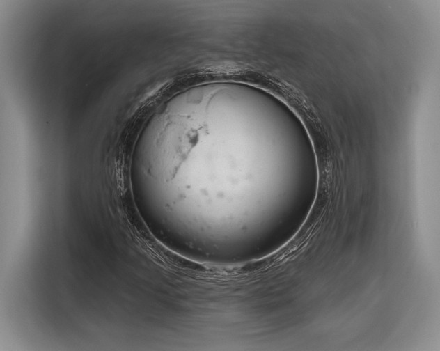X0000116851205200912221112