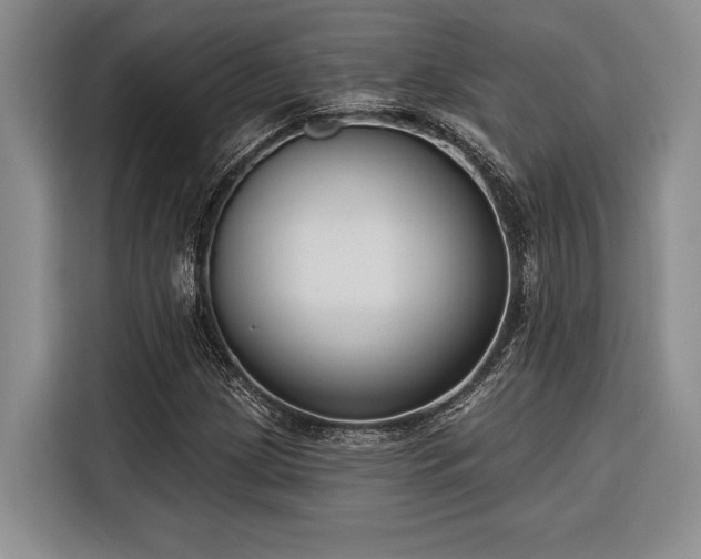 X0000116851209200912221112