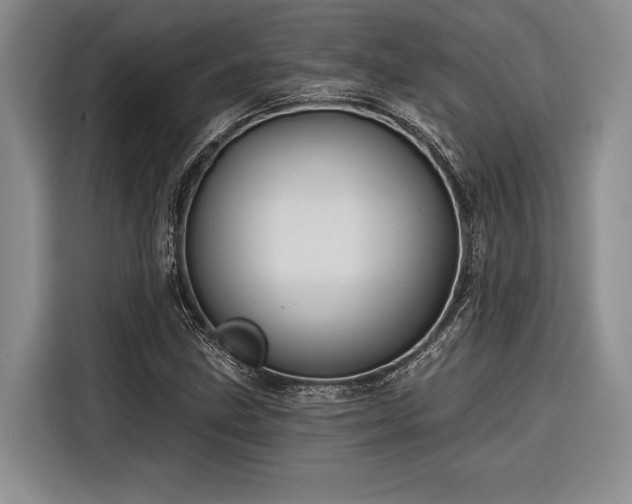 X0000116851211200912221112