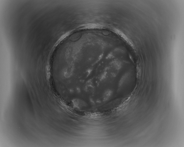 X0000116851213200912221112