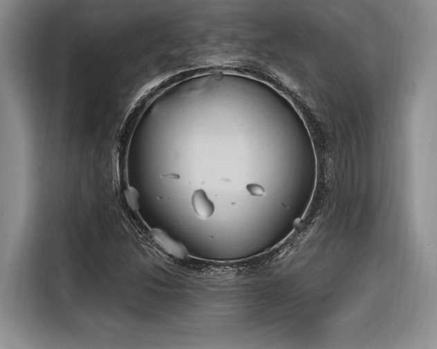 X0000116851214200912221112