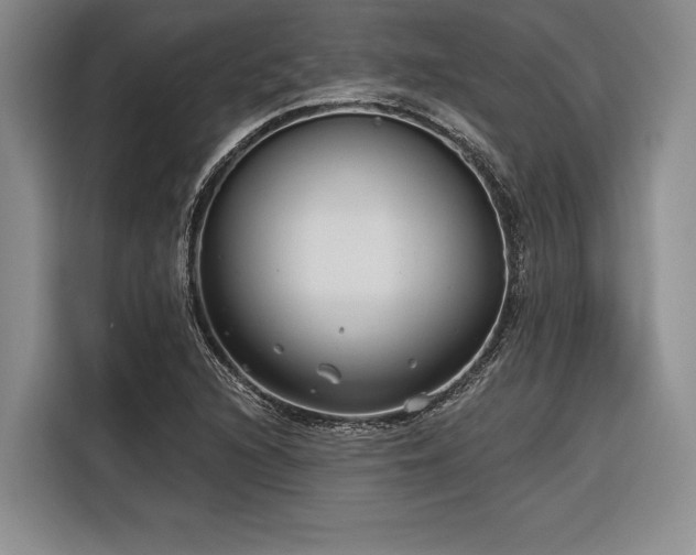 X0000116851216200912221112