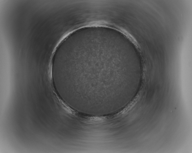 X0000116851224200912221112