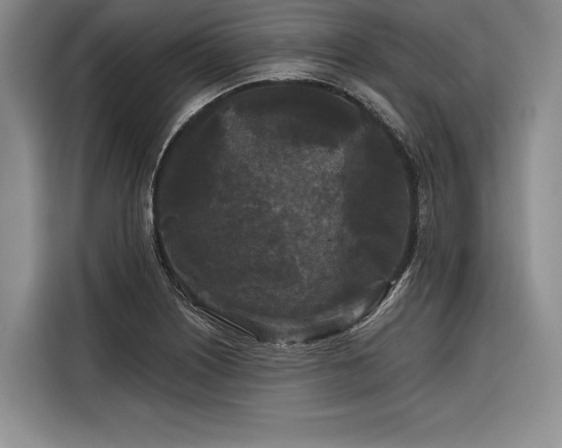 X0000116851226200912221112