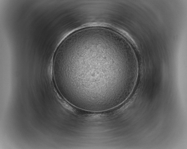 X0000116851228200912221112