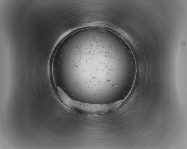 X0000116851230200912221112