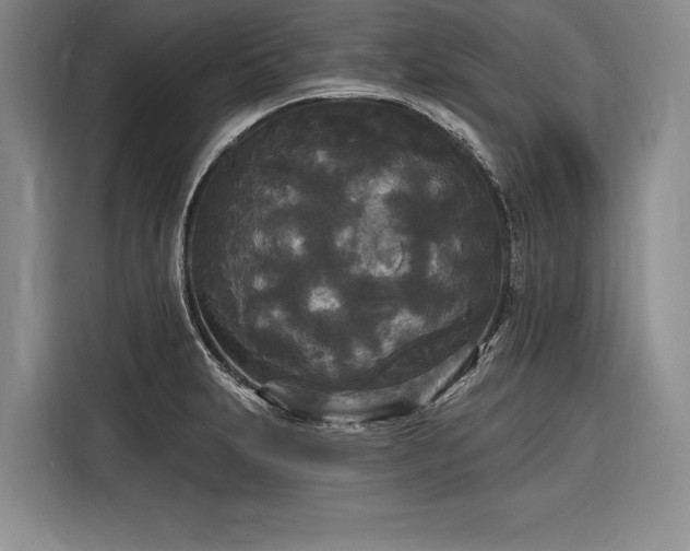 X0000116851231200912221112