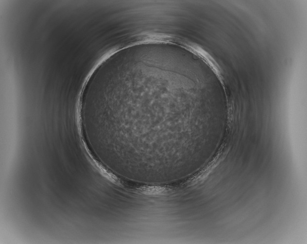 X0000116851235200912221112