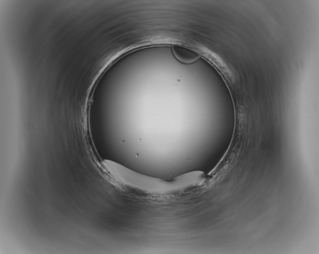 X0000116851236200912221112