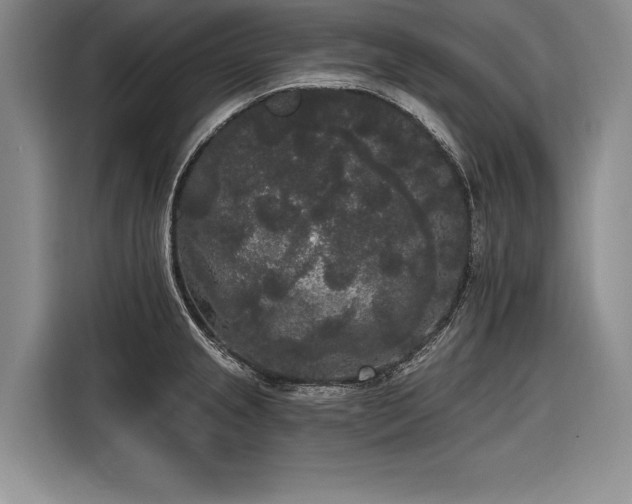 X0000116851237200912221112