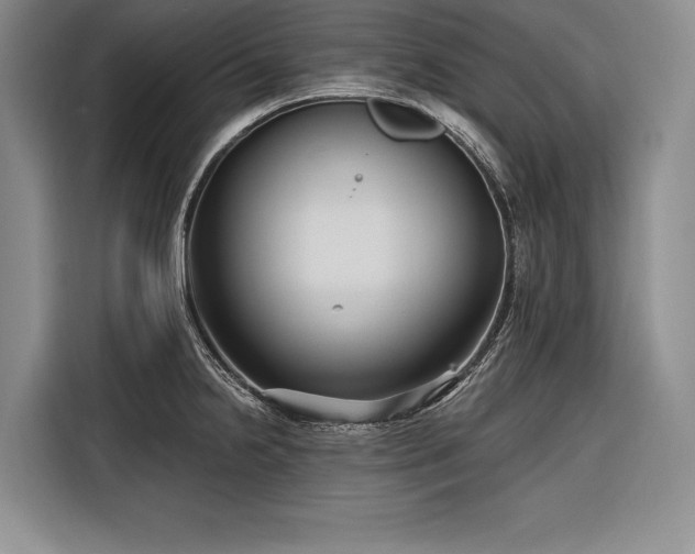 X0000116851238200912221112