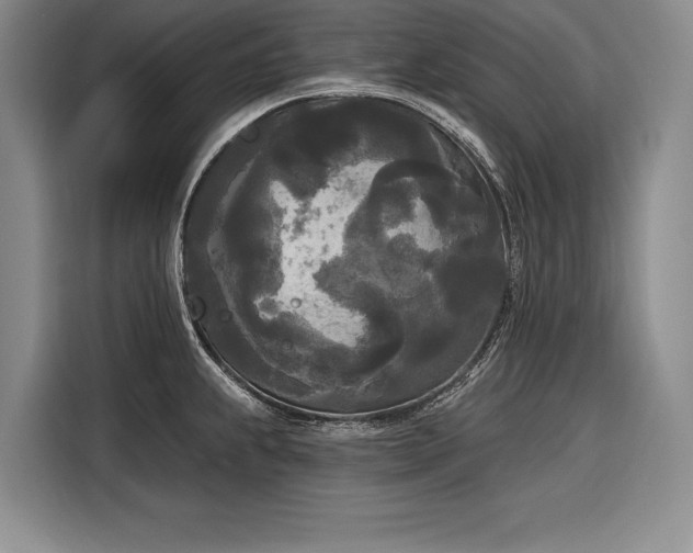 X0000116851239200912221112