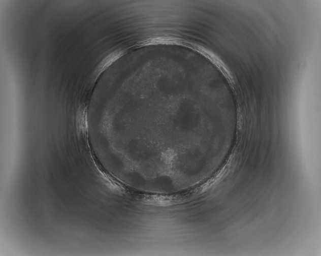 X0000116851241200912221112