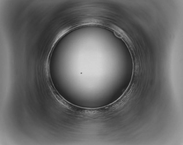 X0000116851242200912221112