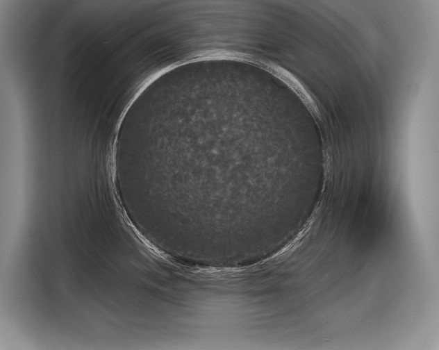 X0000116851244200912221112