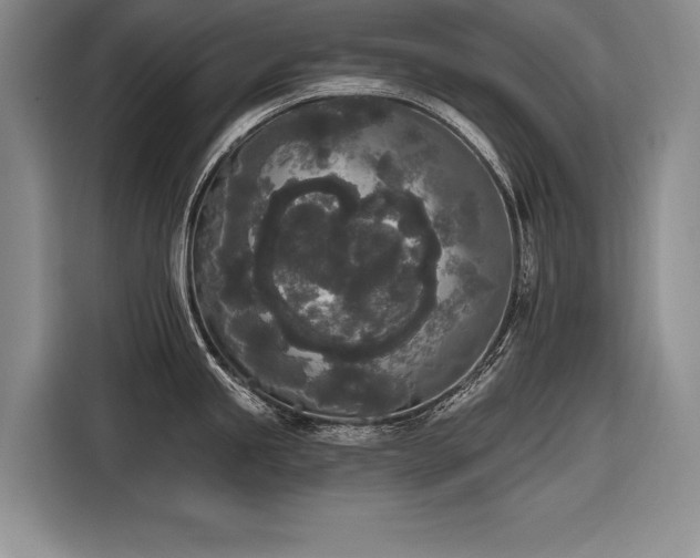 X0000116851245200912221112