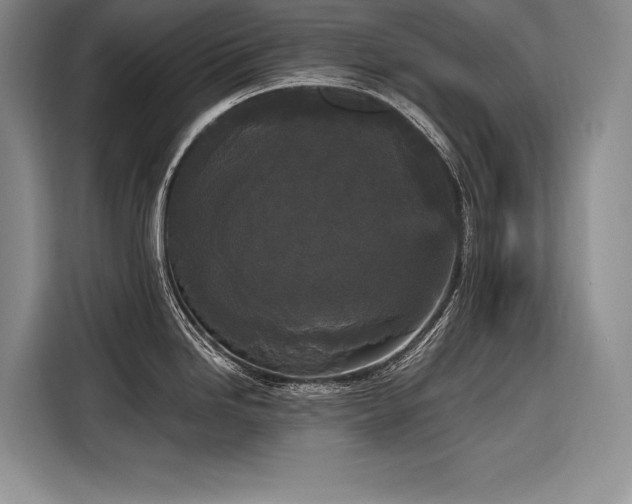 X0000116851246200912221112