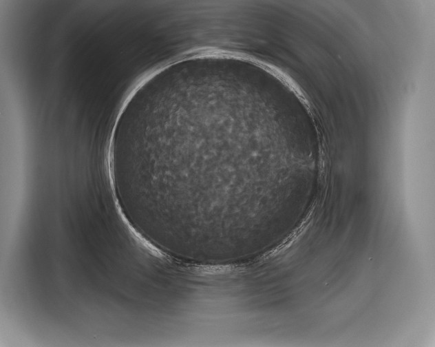 X0000116851247200912221112