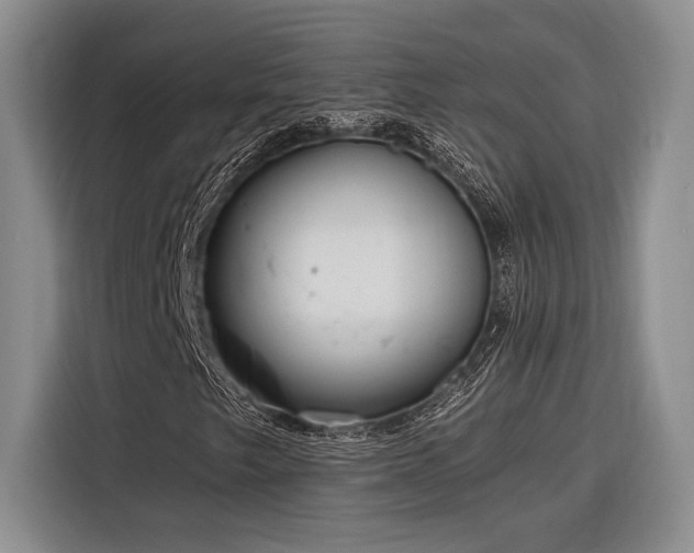 X0000116851249200912221112