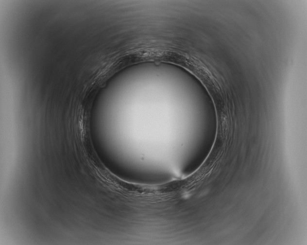 X0000116851250200912221112