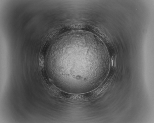 X0000116851251200912221112