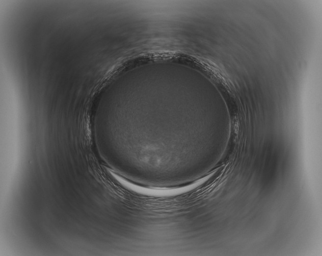 X0000116851252200912221112