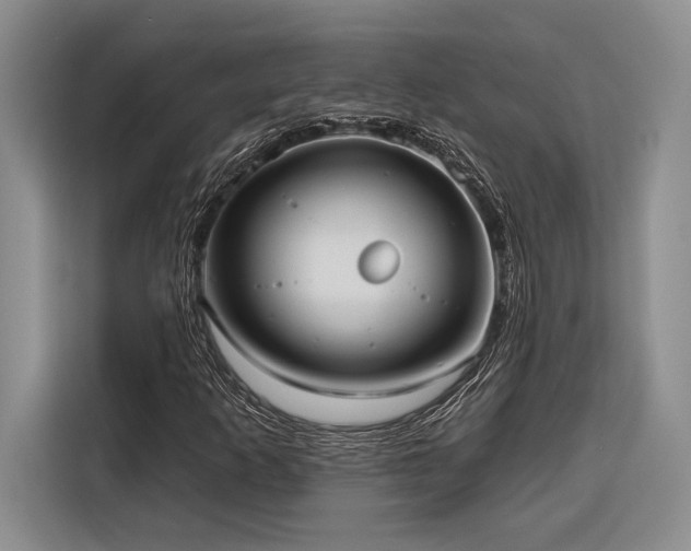 X0000116851253200912221112