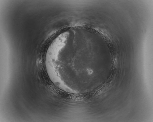 X0000116851254200912221112