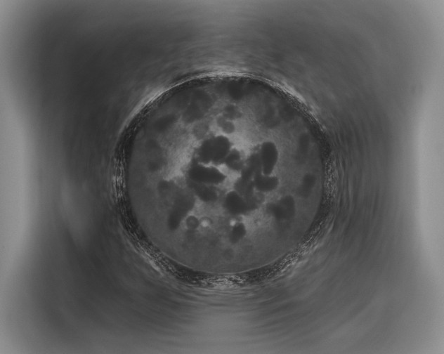 X0000116851255200912221112