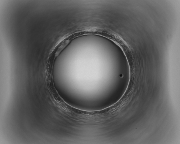 X0000116851256200912221112