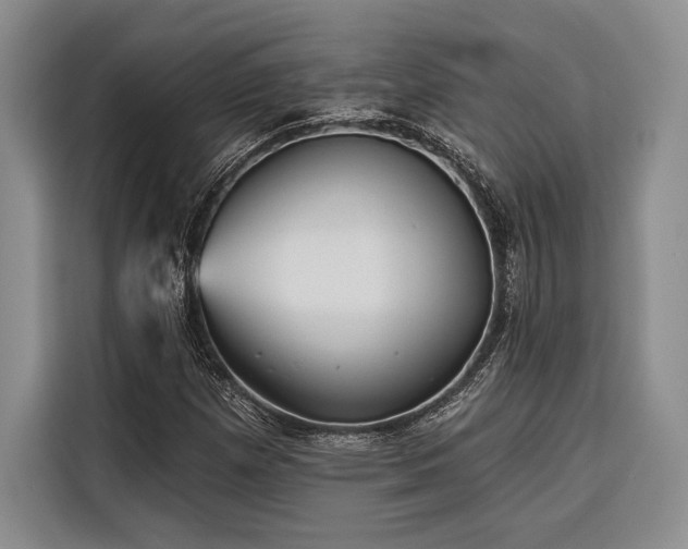 X0000116851257200912221112