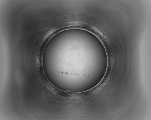 X0000116851259200912221112