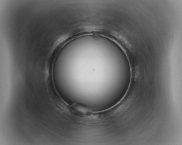 X0000116851261200912221112